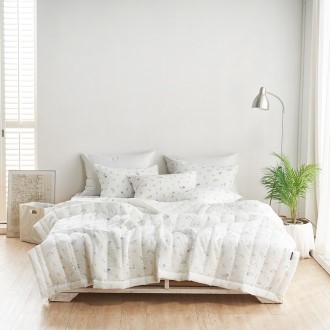 �ö���� ����� �þĿ �����̺� �� �������� �̱�/�� 2���� ����ħ����������