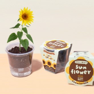 ������� �Ĺ�Ű���-�عٶ��