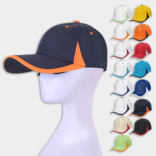 ������ ��� �߱� ����, ���� ���� ��ü ��� 