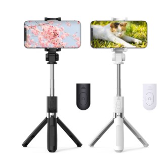 ��� ���� �������� ����Ʈ�� ��ī�� �ﰢ��