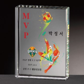 ũ����Ż������ ȸ������� [CR025] WSGD