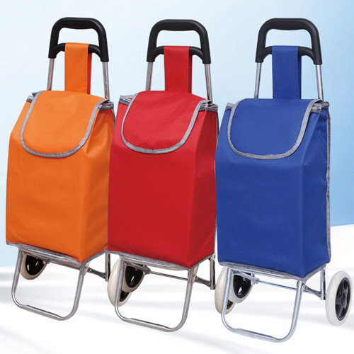 Solid ����īƮ ĳ���� 1P